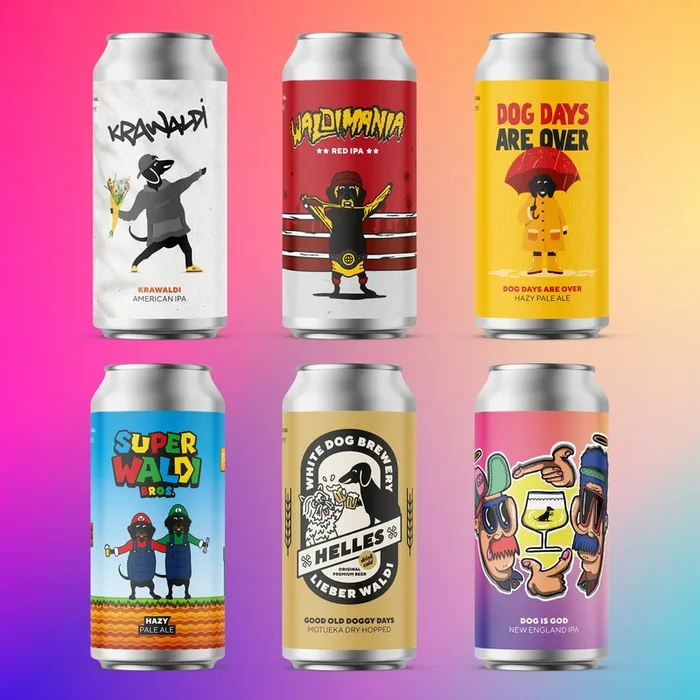 Probierpaket | 12-Pack