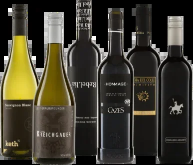 Probierpaket Black Labels Biowein