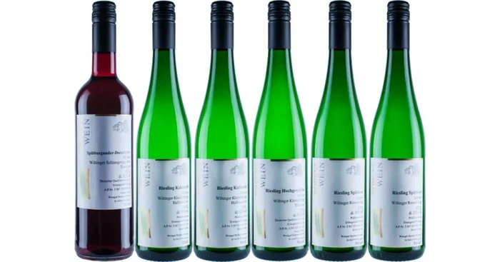 Rotwein / Riesling Auswahl 2018er