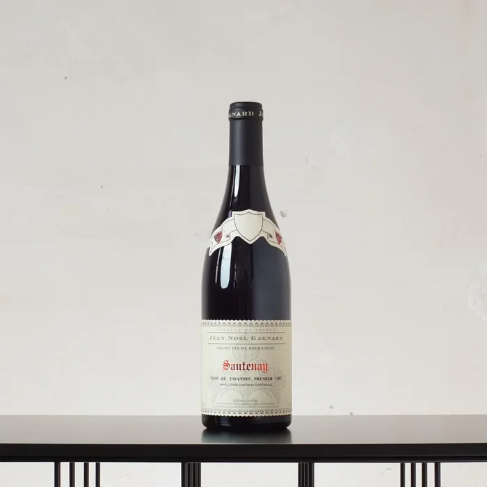 Santenay Premier Cru Clos de Tavannes 2019 – Domaine Jean Noël Gagnard – 0,75