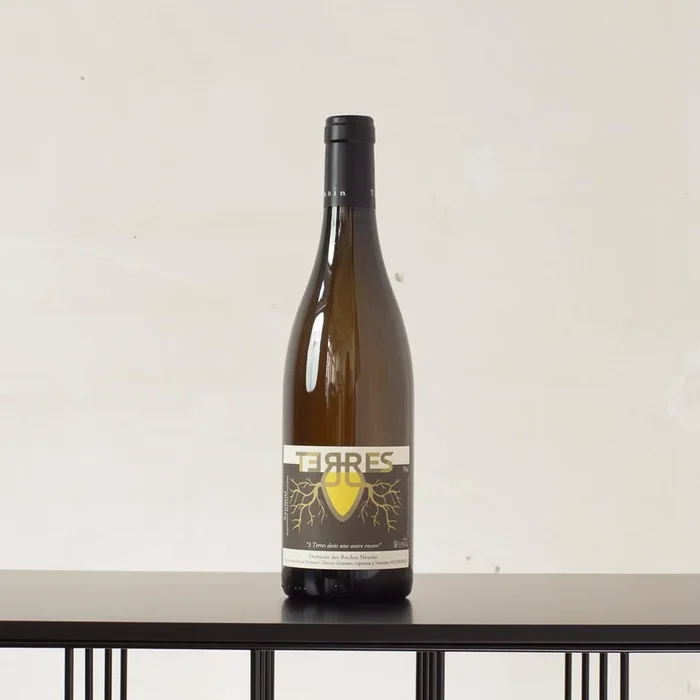 Saumur blanc Terres 2020 – Domaine des Roches Neuves – 0,75