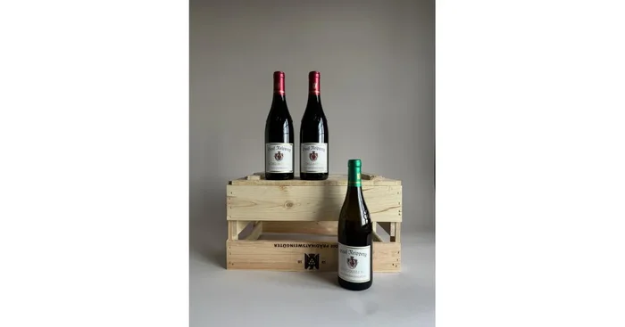 SCHLOSSBERG – GG – Paket // neue Jahrgänge