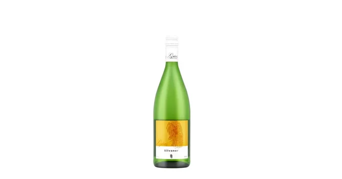 Silvaner 2023 Basis