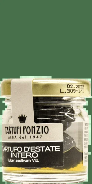 Tartufi Ponzio Ganzer Sommertrüffel Alba