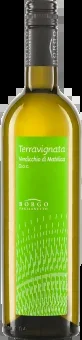 Terravignata Verdicchio di Matelica DOC 2018 Borgo Paglianetto Biowein