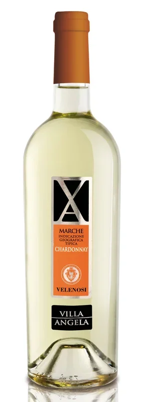 Villa Angela Chardonnay IGT – Velenosi