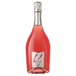 Vino Spumante di Qualità Brut Rosé Merlot Tenuta Ulisse 0,75 ℓ