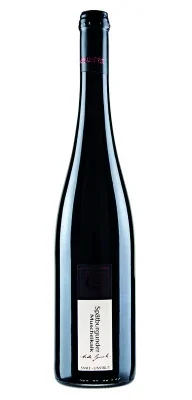 Wein Saale Unstrut Rotwein Spätburgunder 2022 trocken Winzerhof Gussek Muschelkalk