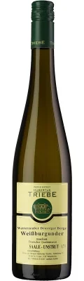 Wein Saale Unstrut Weißwein Weißburgunder 2024 trocken Weingut Hubertus Triebe Deutscher Qualitätswein Wetterzeuber Droyßiger Berge