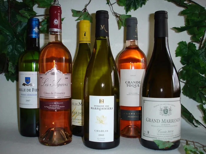 Weinpaket Frankreich weiß trocken
