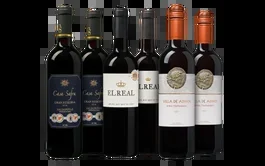 Weinpaket Spanien Rot