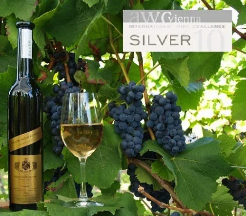 Weinset Weißwein mit Eiswein 18er