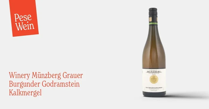 Winery Münzberg Grauer Burgunder Godramstein Kalkmergel 2024
