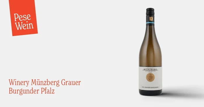 Winery Münzberg Grauer Burgunder Pfalz 2022