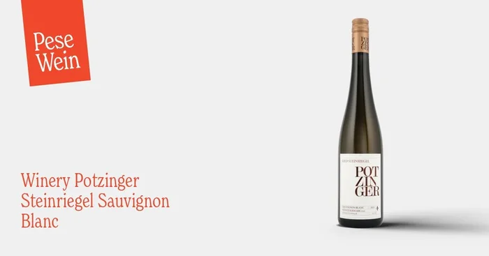 Winery Potzinger Steinriegel Sauvignon Blanc 2021