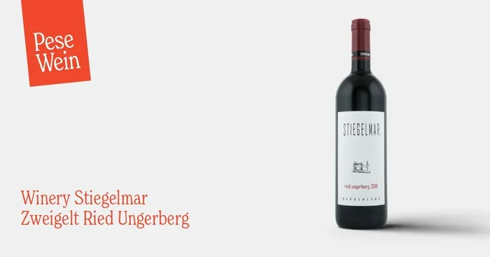Winery Stiegelmar Zweigelt Ried Ungerberg 2019